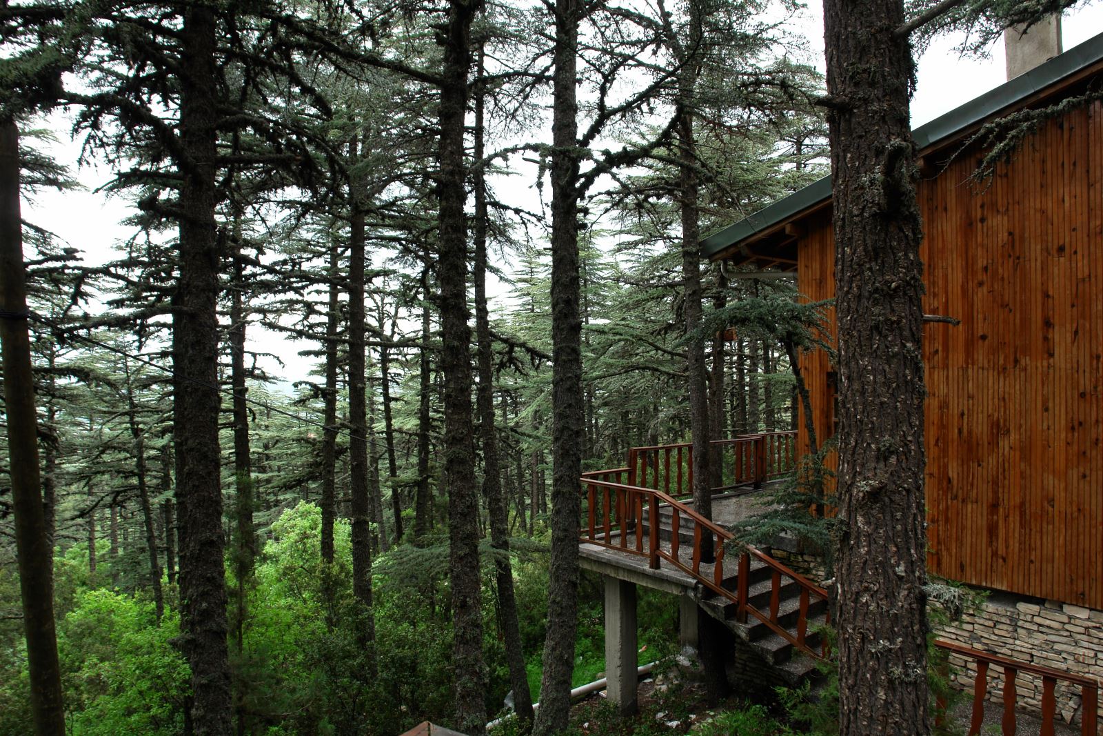 20180508114310262_Sarkikaraagac Kizildag Milli Parki2.jpg