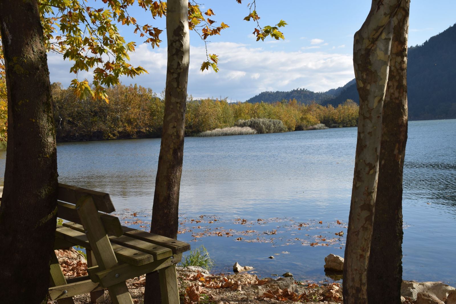 20180514101301514_Kovada Golu Milli Parki (4).jpg