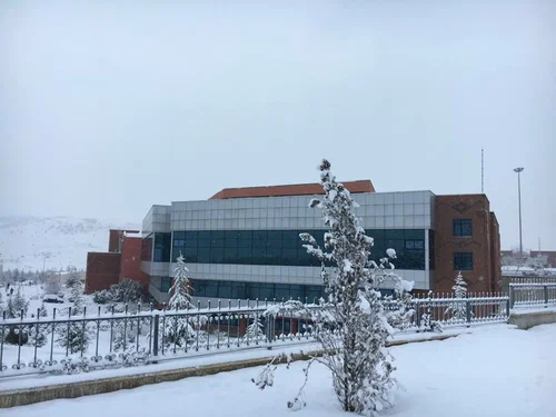 Sınav Haftası Kabusu Bitiyor: Kütüphanede Yer Bulmanın ve Verimli Çalışmanın Yolları